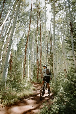 Un garçon à vélo parcourt un sentier dans la forêt