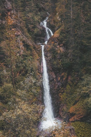 Cascade-dans-la-forêt
